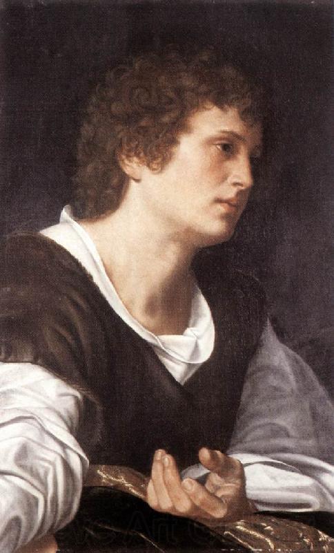 SAVOLDO, Giovanni Girolamo Bust of a Youth sg France oil painting art